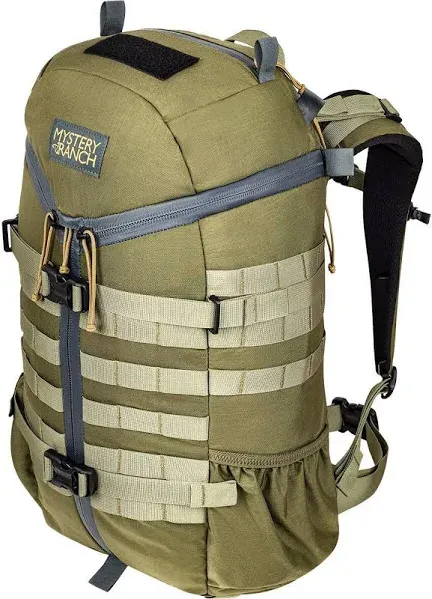 Mystery Ranch 2 Day Assault Backpack