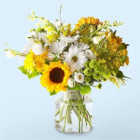 Proflowers Hello Sunshine Bouquet