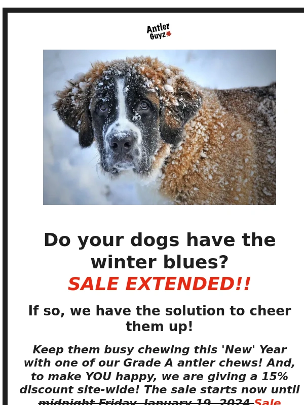 Rogers - Winter Sale EXTENDED! 15% Discount Site Wide!