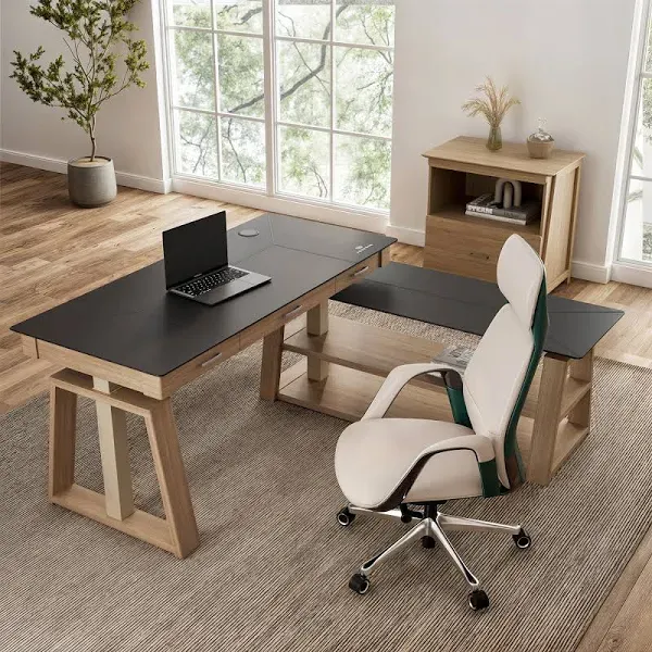 Eureka Ergonomic Ark EX Executive Standing Desk