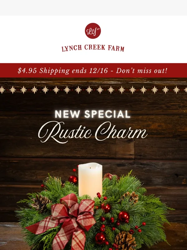 Lynch Creek Farm - Get this Charming New Special!