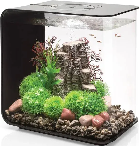 Biorb Flow 30 Aquarium