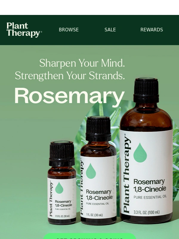 Plant Therapy - The Pure Power of Rosemary ?