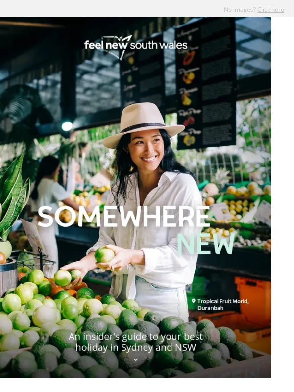 Sydney - 50 expert tips on eating,adventure and art in NSW