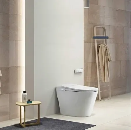 Cascada Discovery DLX Remote Control Smart Bidet Toilet