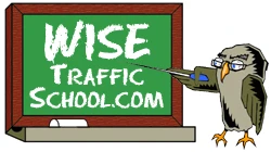 wisetrafficschool.com