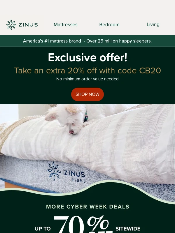 Zinus - Grab Your Bonus Discount Today!