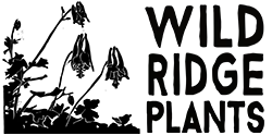 Wild Ridge Plants
