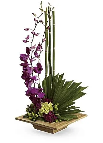 Orchid Floral Arrangement  Teleflora