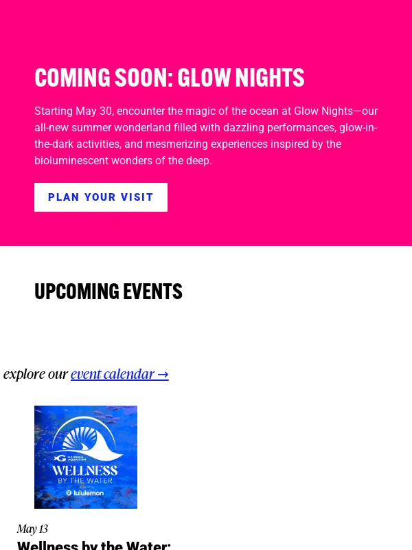 Georgia Aquarium - ? Something brilliant is coming…