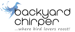 Backyard Chirper