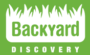 eBay Coupon