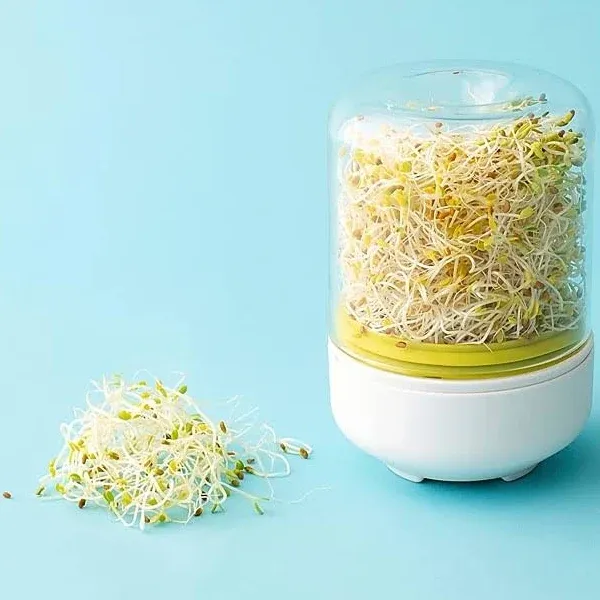 Countertop Sprout Growing Kit