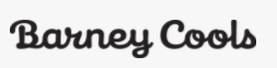 eBay Coupon