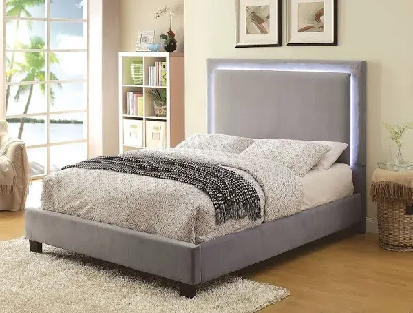 Furniture of America Erglow Bed in Gray