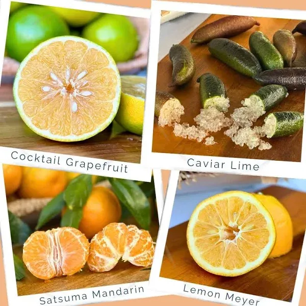 Local California Farm Specialty Citrus Bundle
