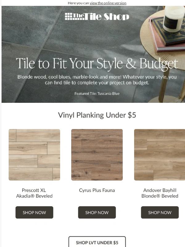 The Tile Shop - Tile finds under $5,$7 & $9!!