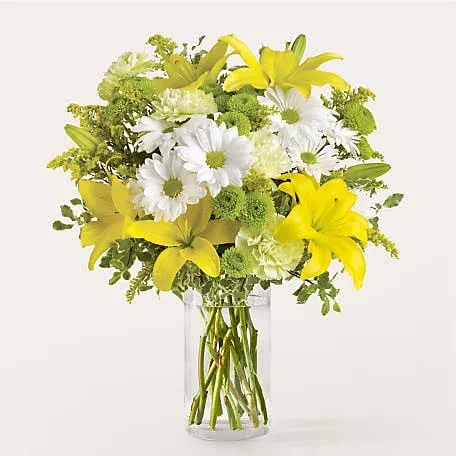 Proflowers Fresh Start Bouquet