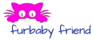 eBay Coupon
