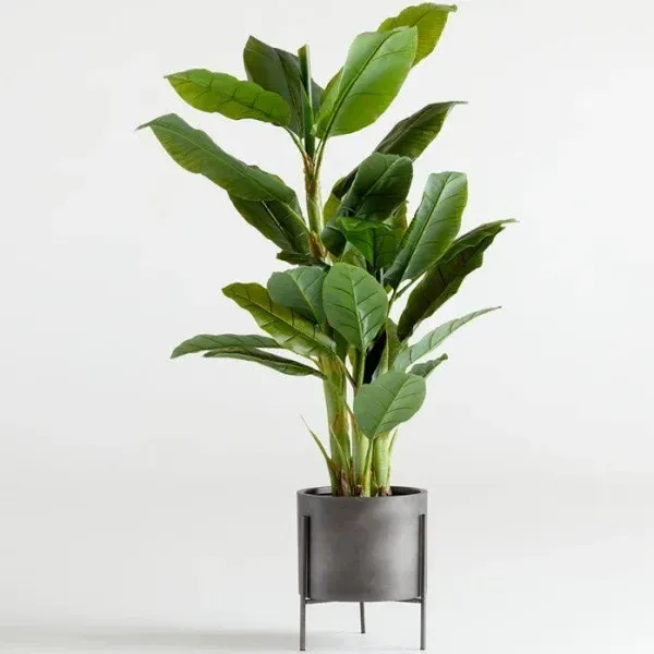 Crate and Barrel Artificial Banana Tree