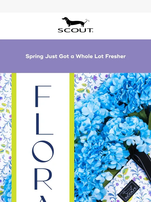 Scout Bags - Warning: New pattern may cause spring fever?