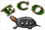 eBay Coupon
