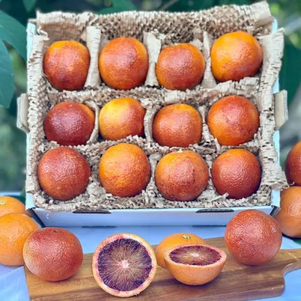 America's Favorite Red Citrus 5 LB Fresh Blood Orange