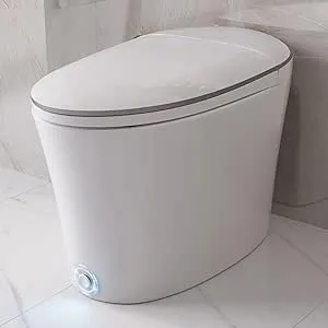 DeerValley Smart Toilet, Elongated One Piece Toilet, Auto/Blackout Flush, Foot Kick Sensor, Hea…