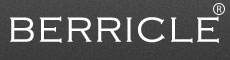 Berricle