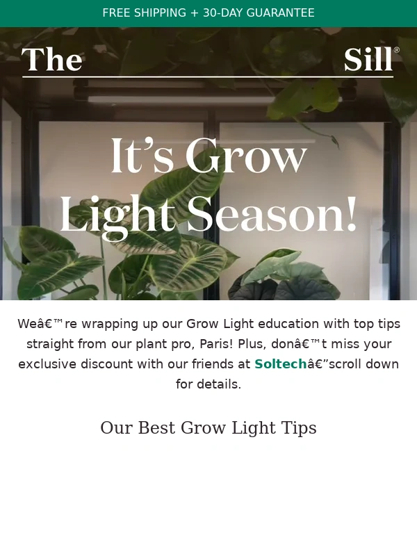 The Sill - Get Lit: Paris Shares Her Grow Light Advice