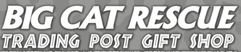 Big Cat Rescue