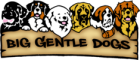 Big Gentle Dogs