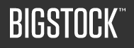 BigStock