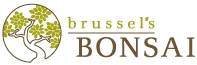 Brussel's Bonsai