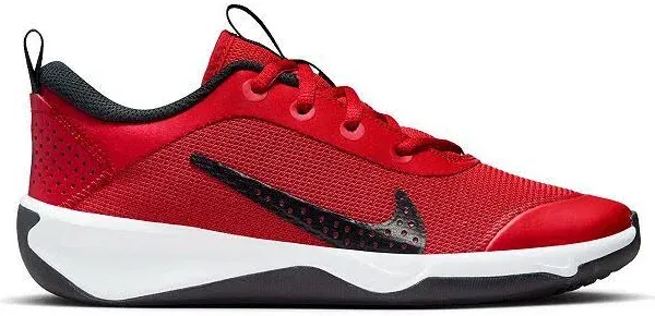 Kid's Nike Omni Multi-Court Big Shoes