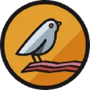 Early Bird