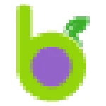 eBay Coupon