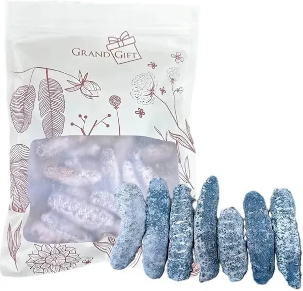 South America Wild Caught Dried Sea Cucumber