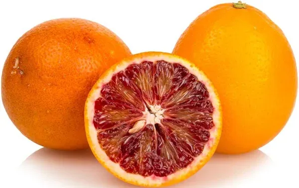 Azure Market Produce Moro Blood Oranges Organic