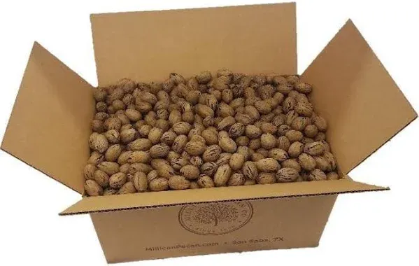 Millican Pecan Macaw Parrot Food in Shell & Cracked Pecans