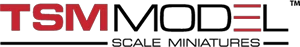 TSM Model