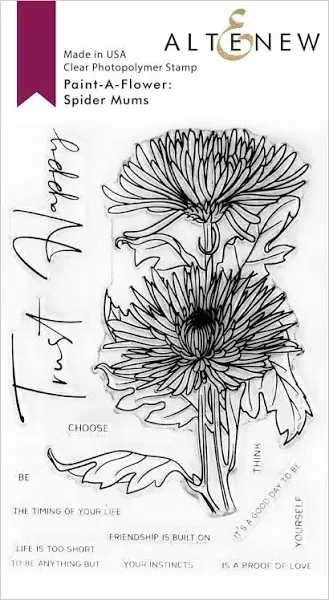 Altenew Paint-A-Flower: Spider Mums Outline Stamp Set