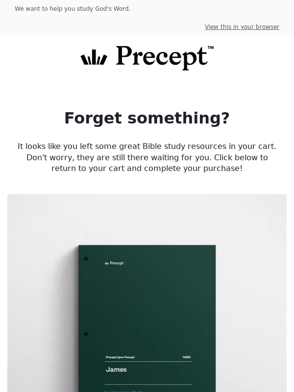 Brandy Melville - Your Precept Bible Study Resources