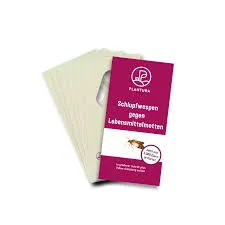 eBay Coupon