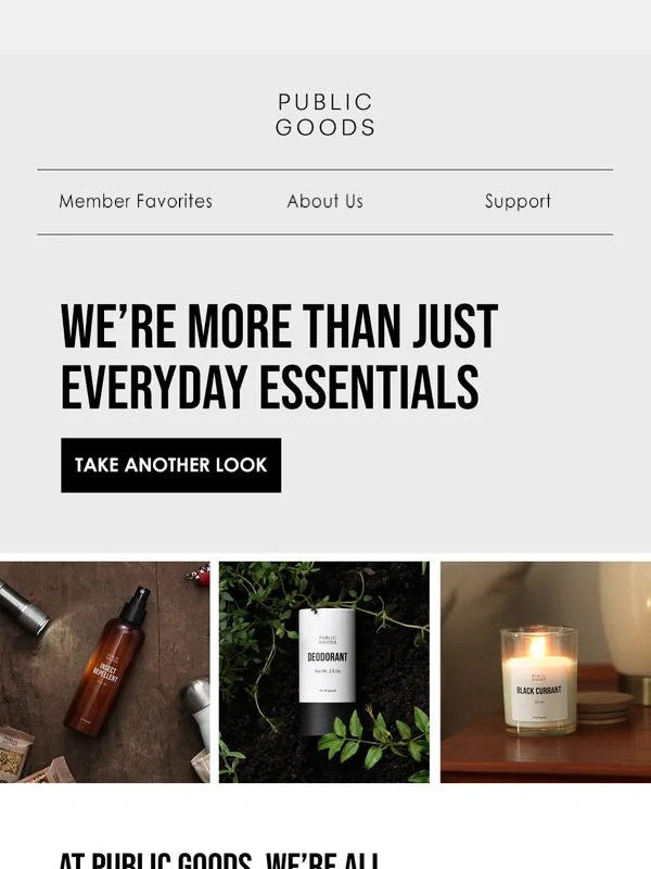 Public Goods - Still thinking about it? ?