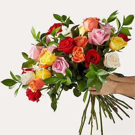 Proflowers Mixed Roses