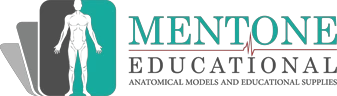 Mentone Educational