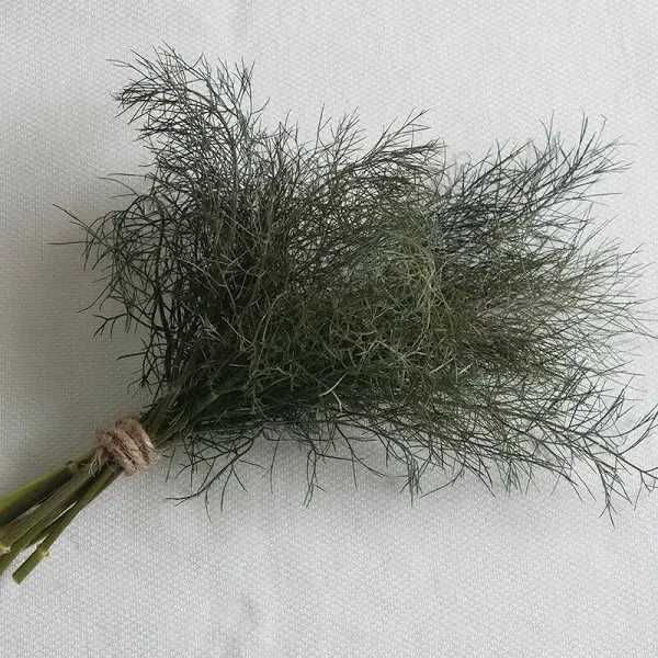 Herb Fennel Seeds