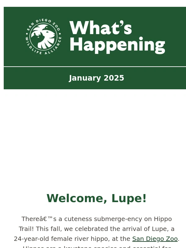 San Diego Zoo - Splash Into 2025 ?