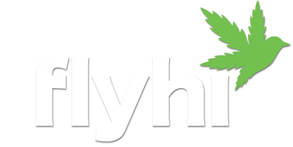 Flyhi